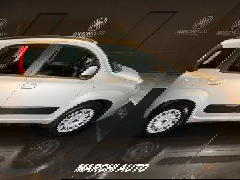 Fiat Panda usata a Perugia (4)