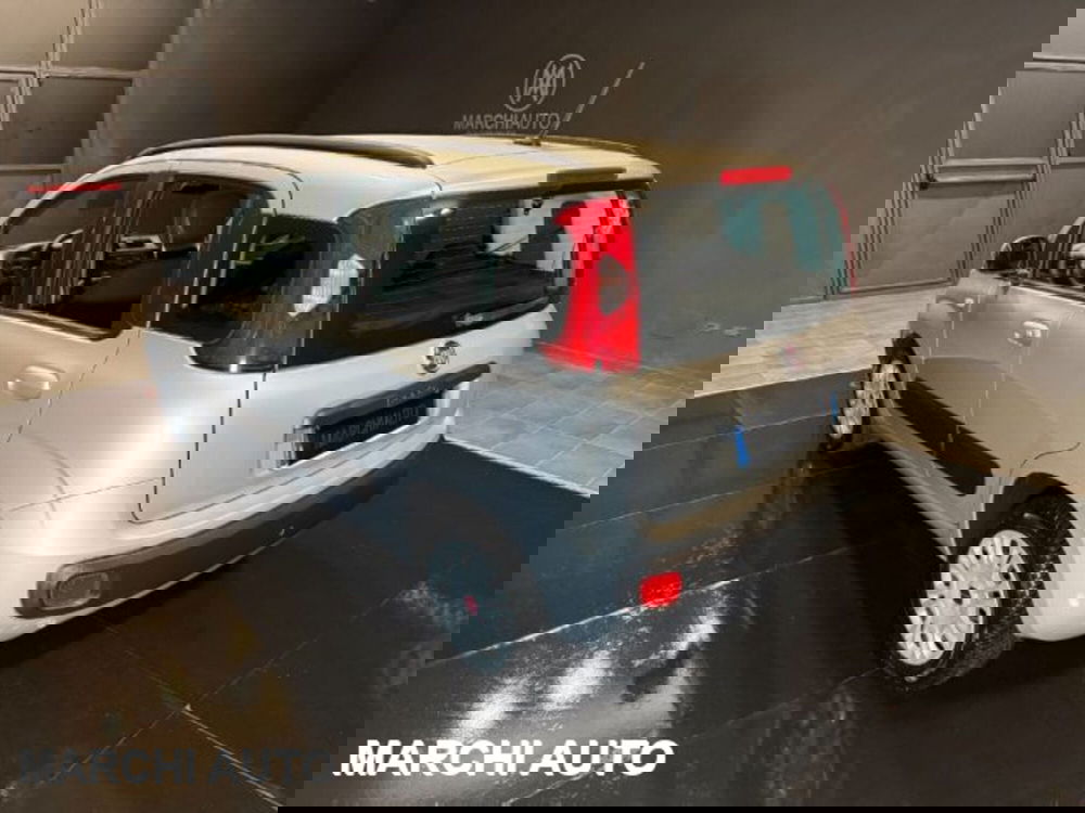 Fiat Panda usata a Perugia (7)