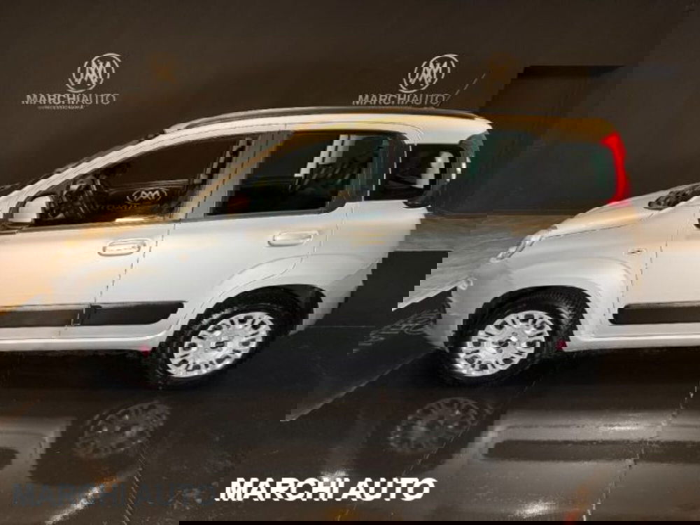 Fiat Panda usata a Perugia (8)