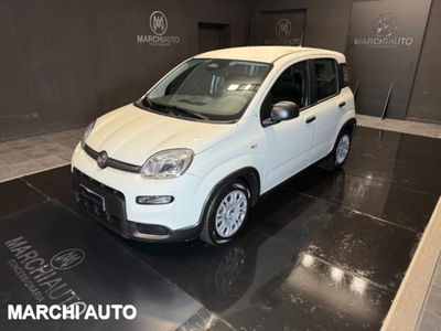 Fiat Panda 1.0 firefly hybrid s&amp;s 70cv del 2024 usata a Bastia Umbra