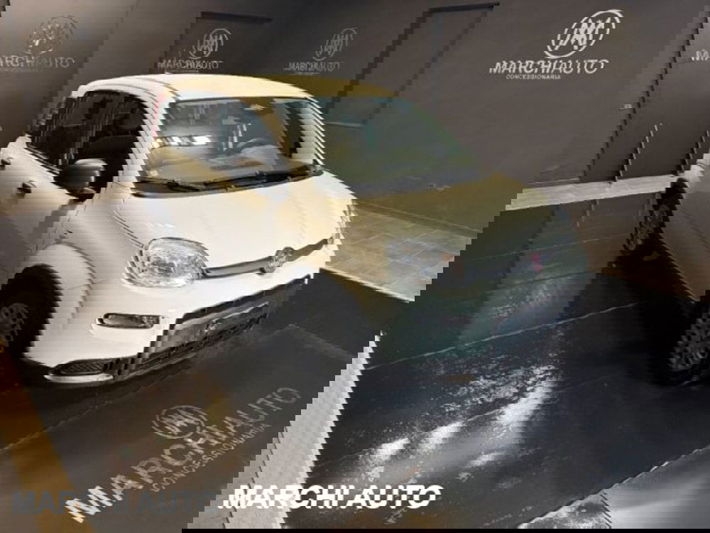 Fiat Panda usata a Perugia (3)