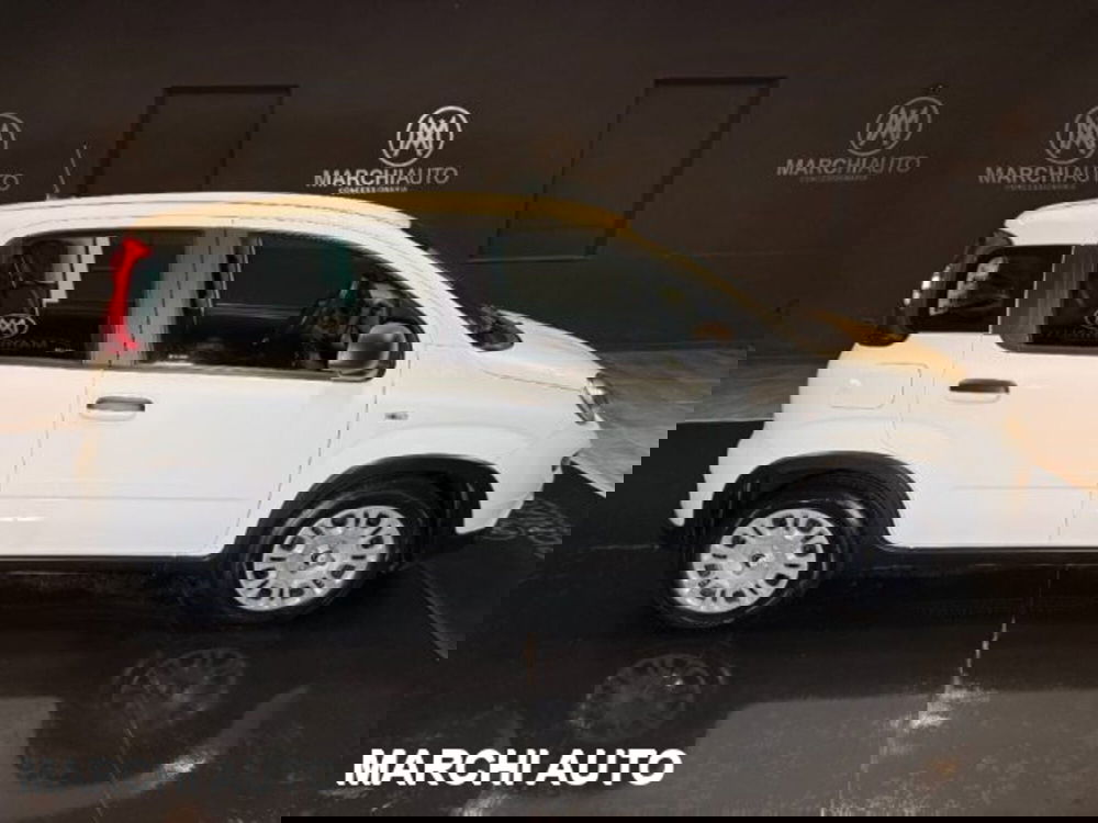 Fiat Panda usata a Perugia (4)