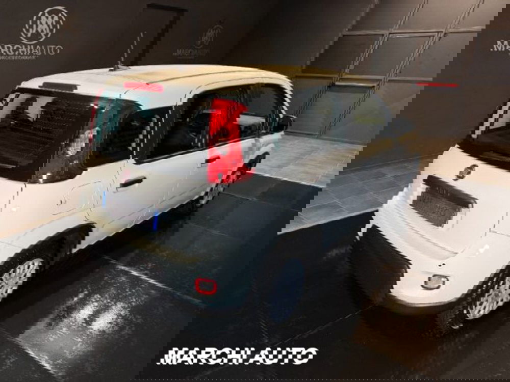 Fiat Panda usata a Perugia (5)