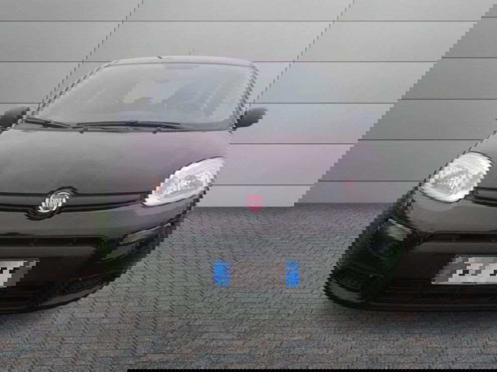 Fiat Panda usata a Roma (12)