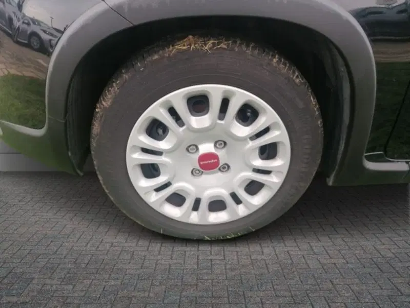 Fiat Panda usata a Roma (13)