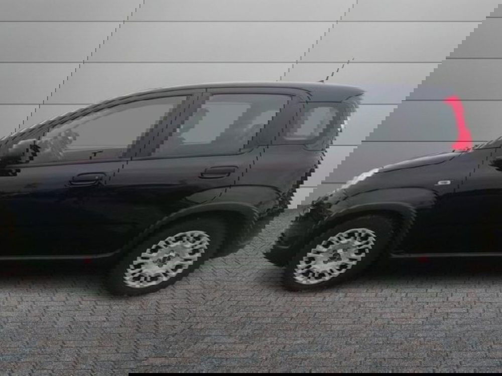 Fiat Panda usata a Roma (2)