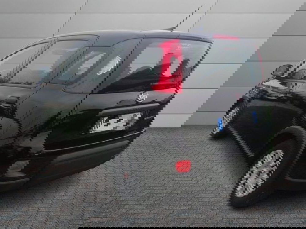 Fiat Panda usata a Roma (4)