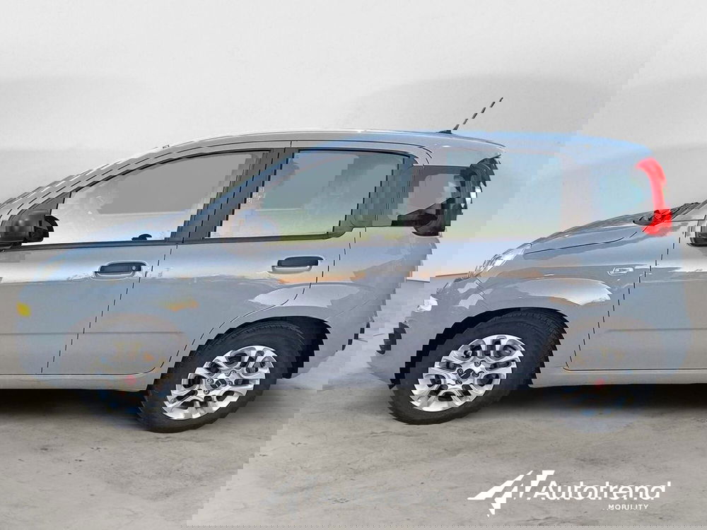 Fiat Panda Cross usata a Bari (5)