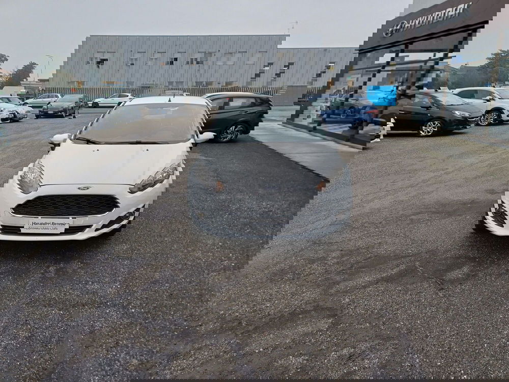 Ford Fiesta usata a Alessandria (5)