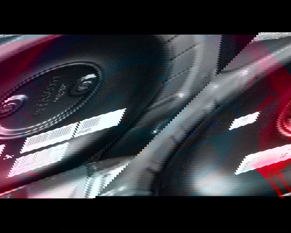 Dacia Sandero usata a Venezia (16)