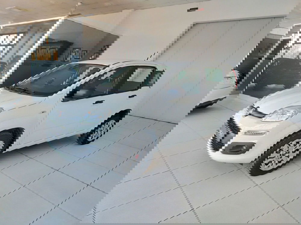 Fiat Panda usata a Reggio Emilia (3)