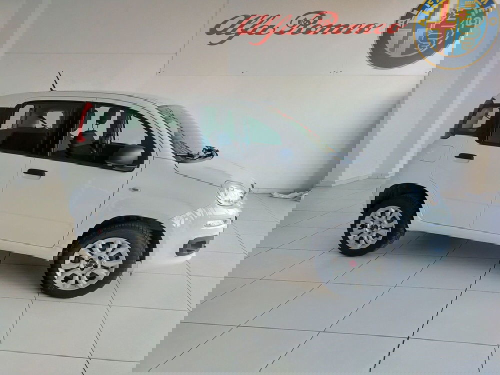 Fiat Panda usata a Reggio Emilia (4)
