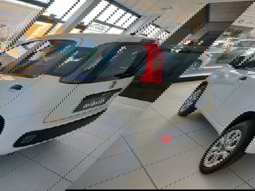 Fiat Panda usata a Reggio Emilia (6)