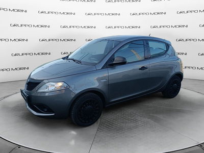 Lancia Ypsilon 1.2 69 CV 5 porte S&amp;S Elefantino Blu del 2019 usata a Imola