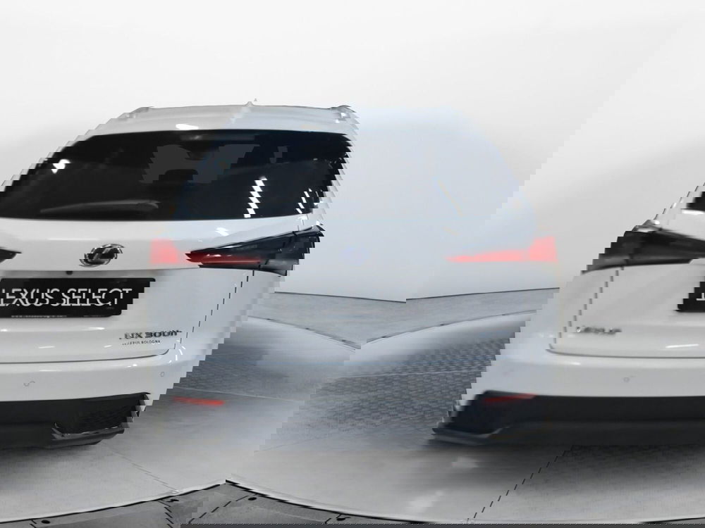 Lexus NX usata a Bologna (5)