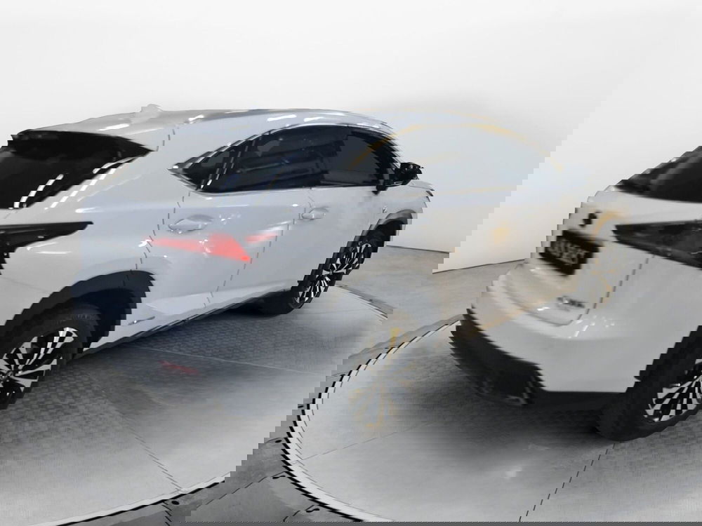 Lexus NX usata a Bologna (6)