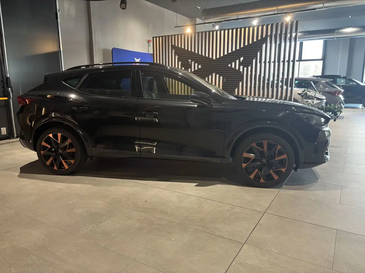 Cupra Formentor nuova a Ferrara (4)