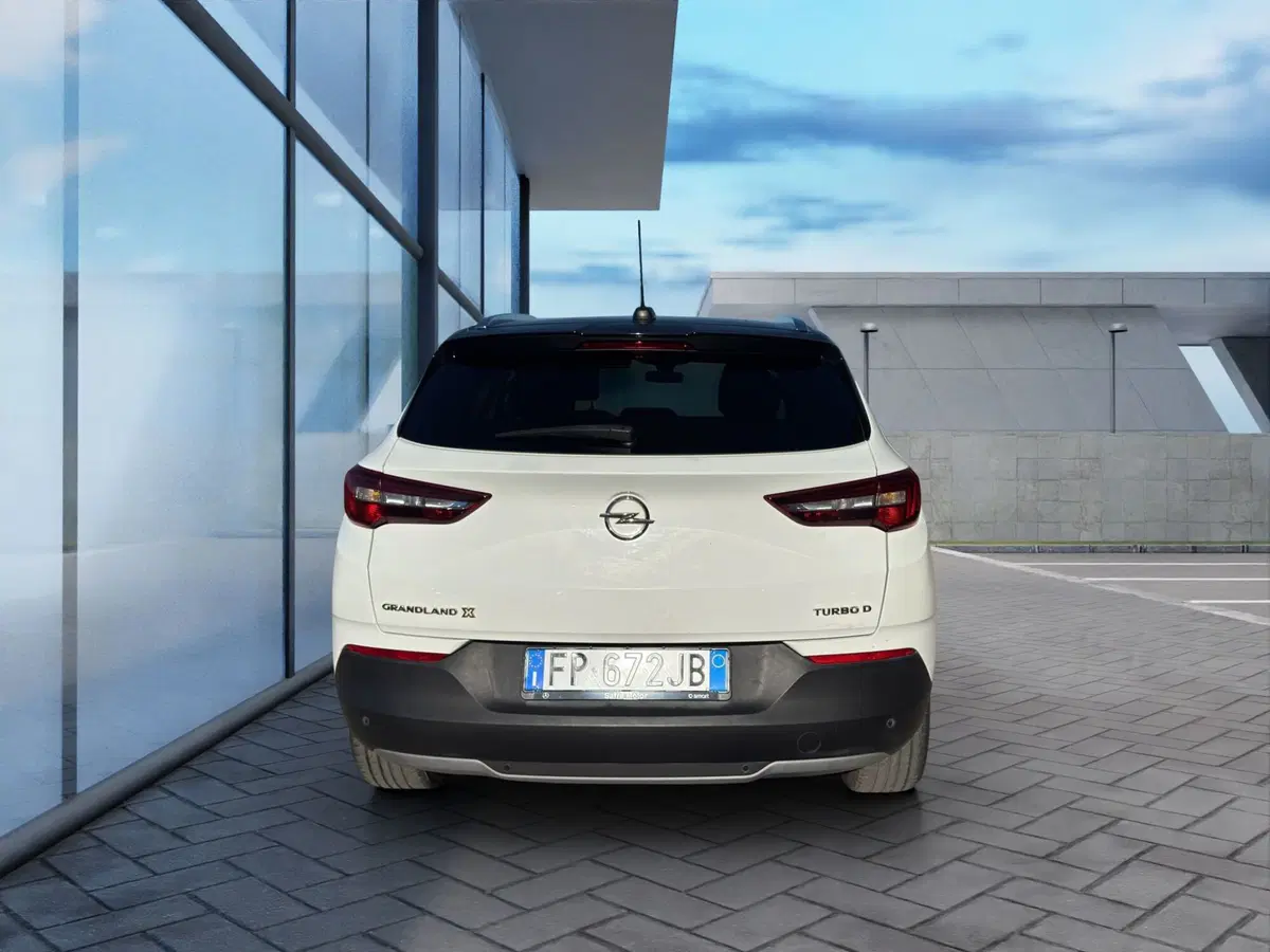 Opel Grandland X usata a Cosenza (5)