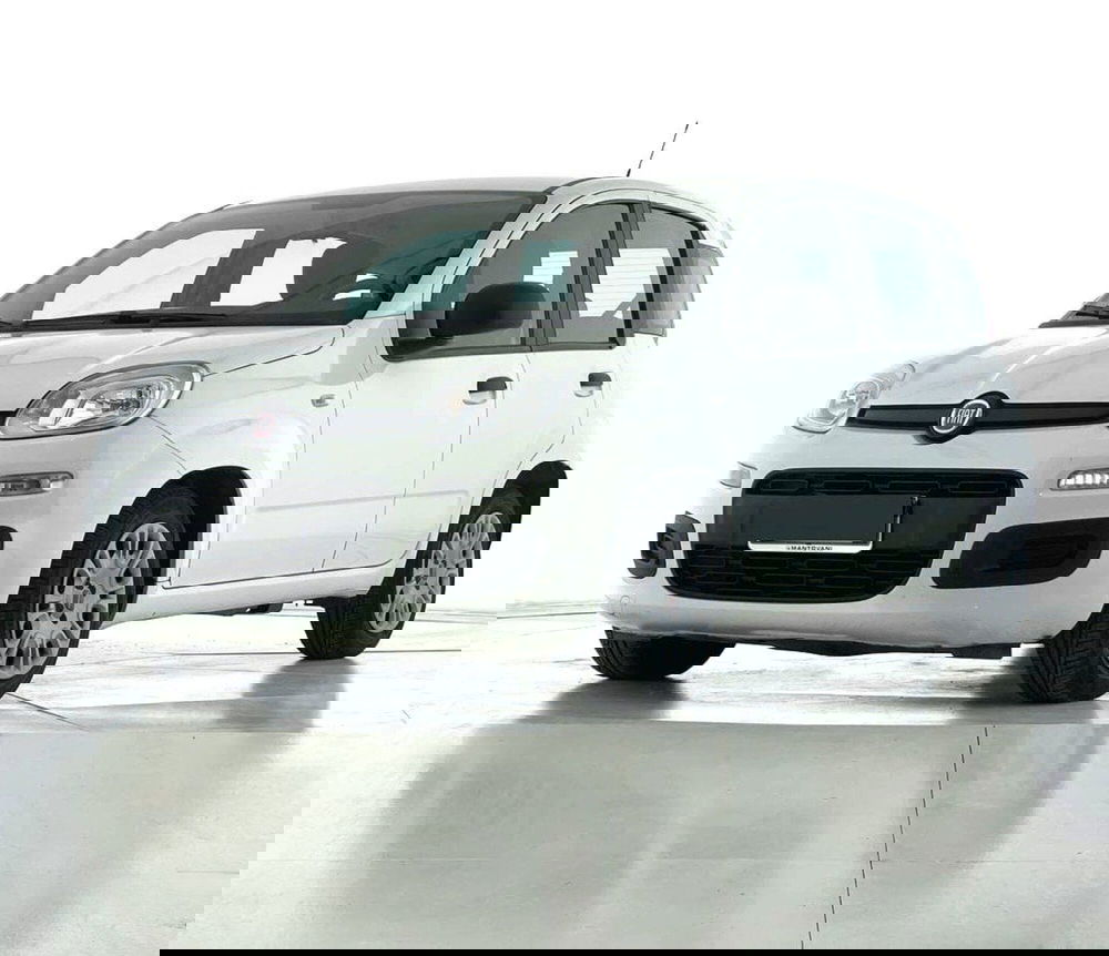 Fiat Panda Cross usata a Perugia