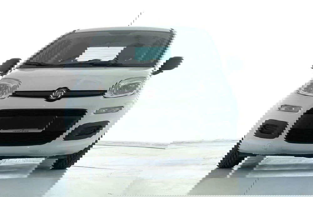 Fiat Panda Cross usata a Perugia (3)