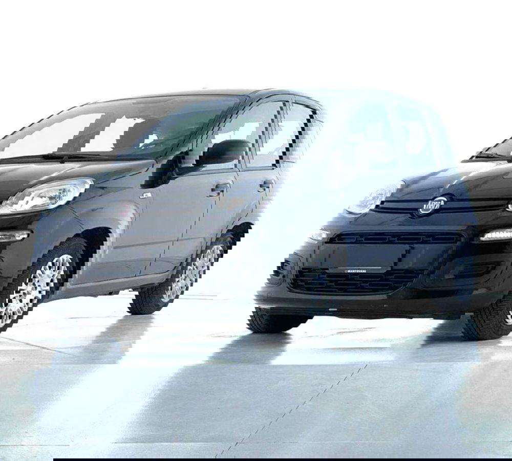 Fiat Panda Cross usata a Perugia