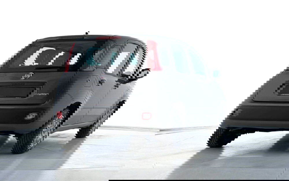 Fiat Panda Cross usata a Perugia (3)