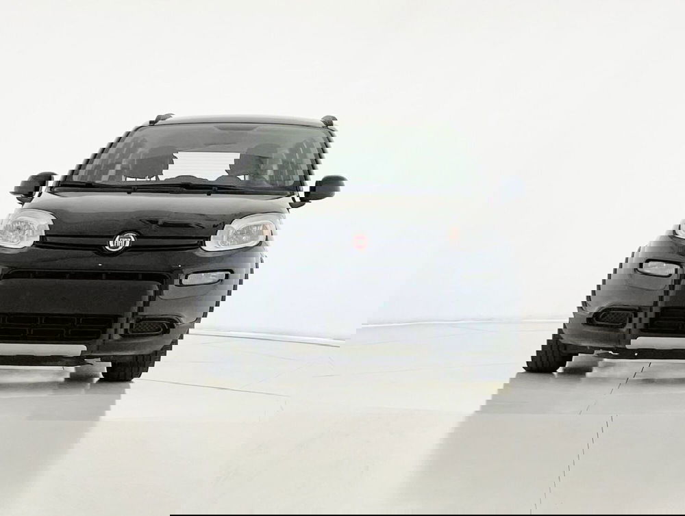 Fiat Panda usata a Perugia (8)