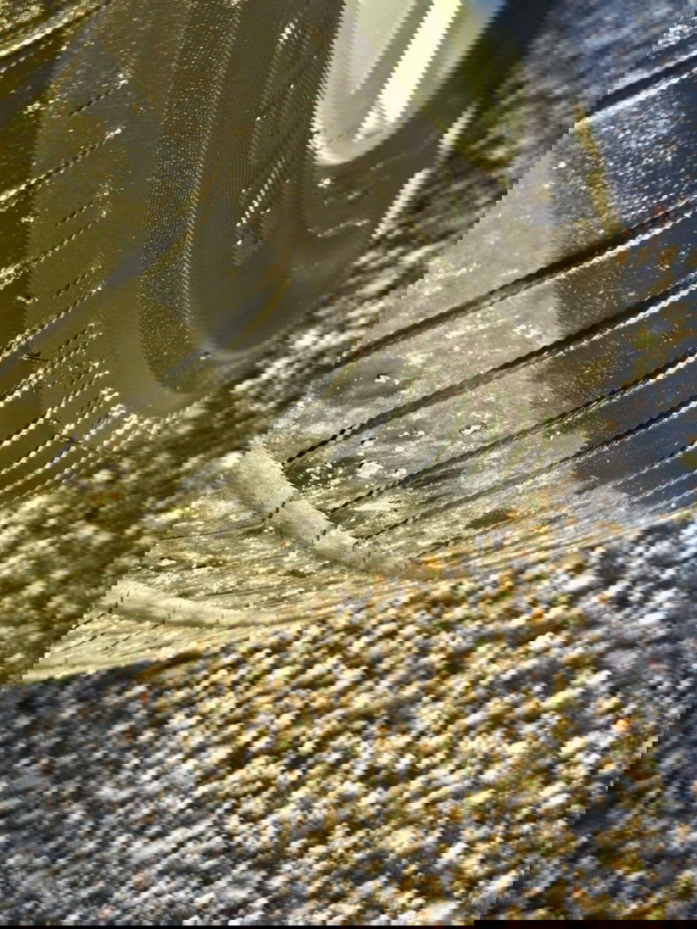 Volkswagen Golf usata a Foggia (20)