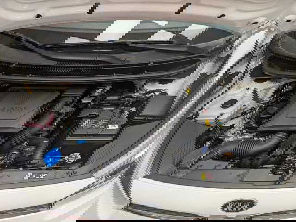 Kia Picanto usata a Teramo (10)