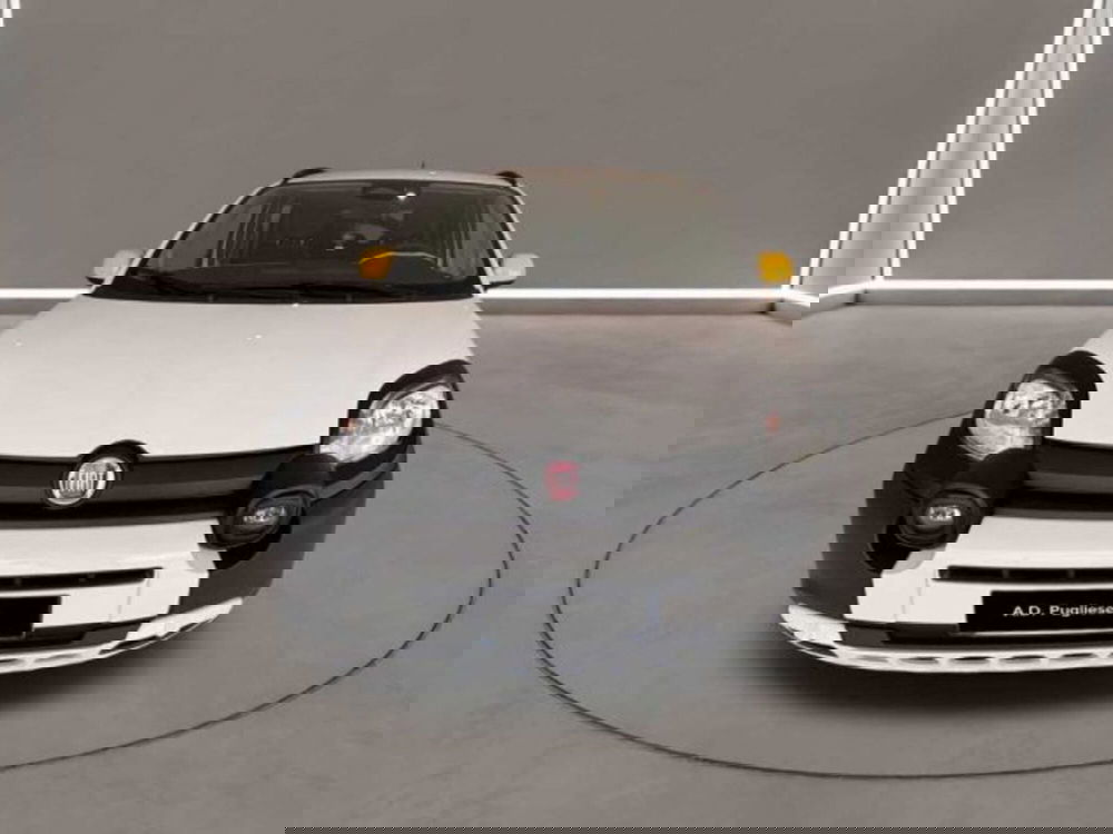 Fiat Panda Cross usata a Caltanissetta (2)