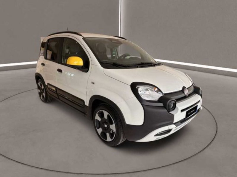 Fiat Panda Cross usata a Caltanissetta (3)