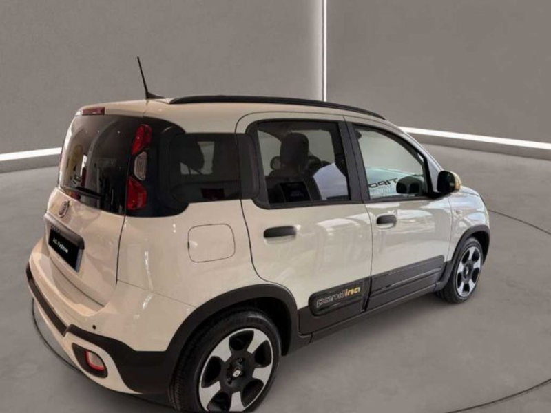 Fiat Panda Cross usata a Caltanissetta (4)