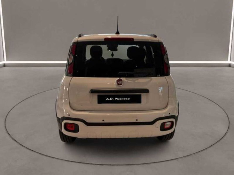 Fiat Panda Cross usata a Caltanissetta (7)
