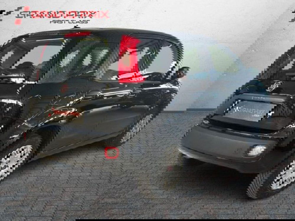 Fiat Panda usata a Bologna (3)