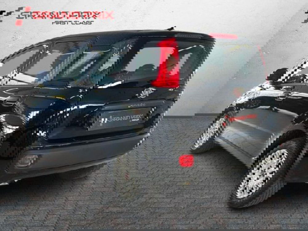 Fiat Panda usata a Bologna (4)