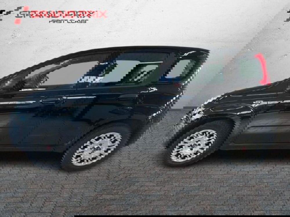 Fiat Panda usata a Bologna (7)