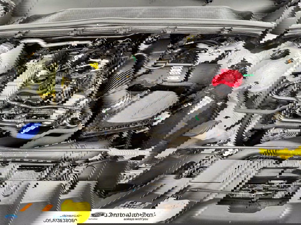 Ford Puma usata a Roma (12)