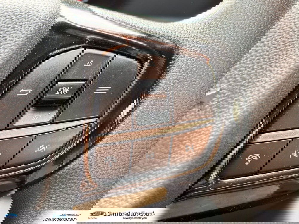 Ford Transit Custom Furgone usata a Roma (19)