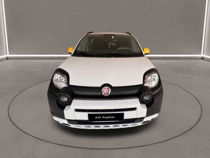Fiat Panda Cross usata a Caltanissetta (2)