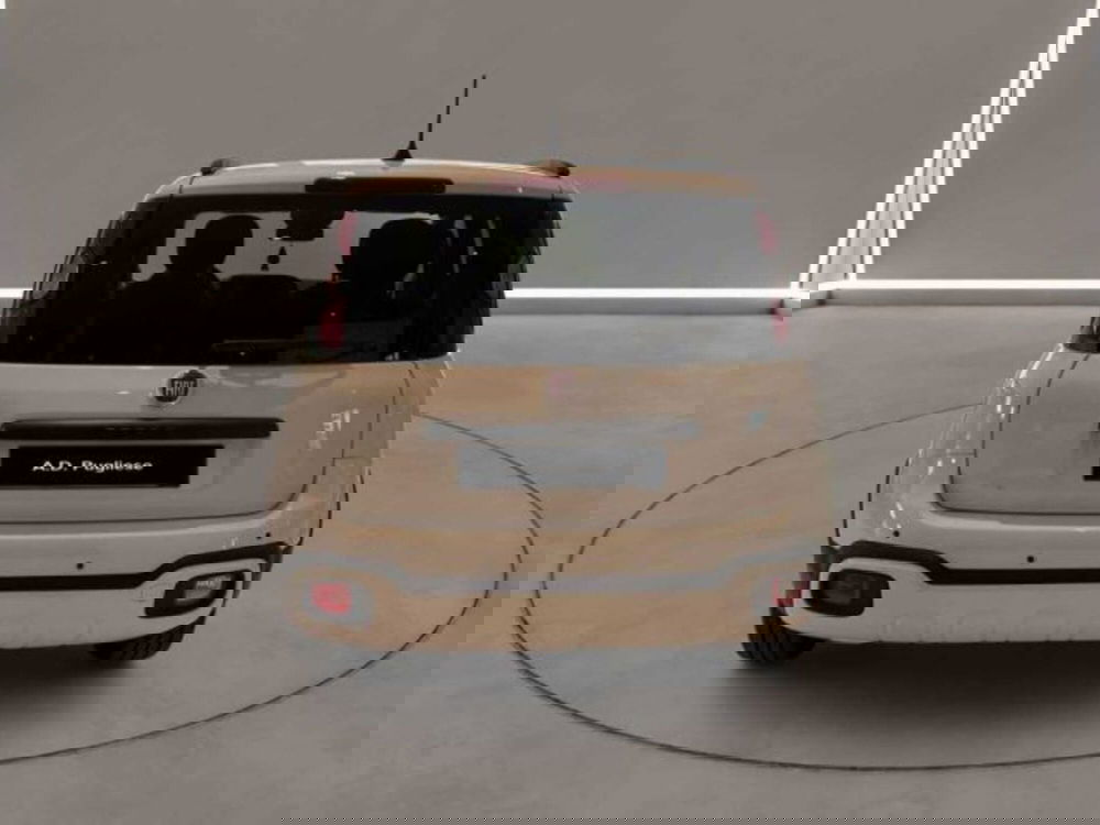 Fiat Panda Cross usata a Caltanissetta (7)