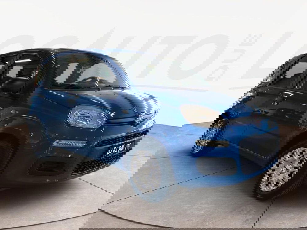 Fiat Pandina nuova a Torino (3)