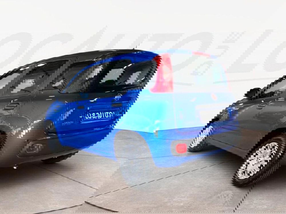 Fiat Pandina nuova a Torino (5)