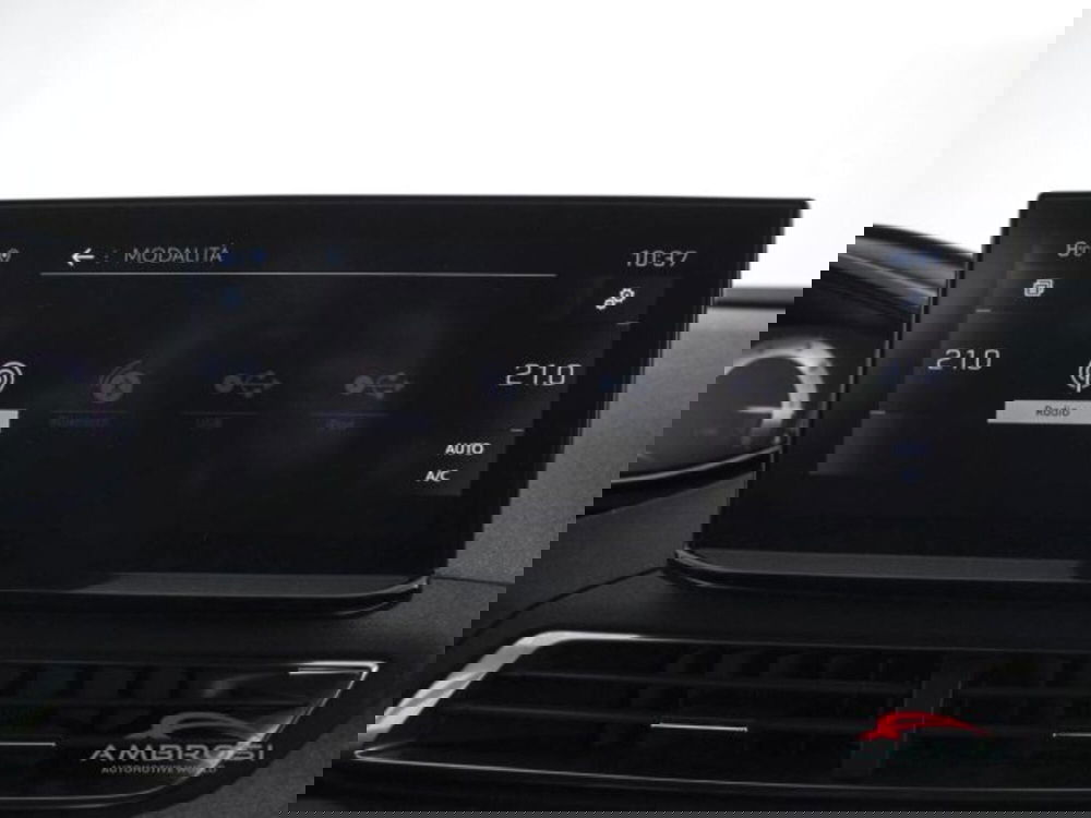 Peugeot 3008 usata a Perugia (15)