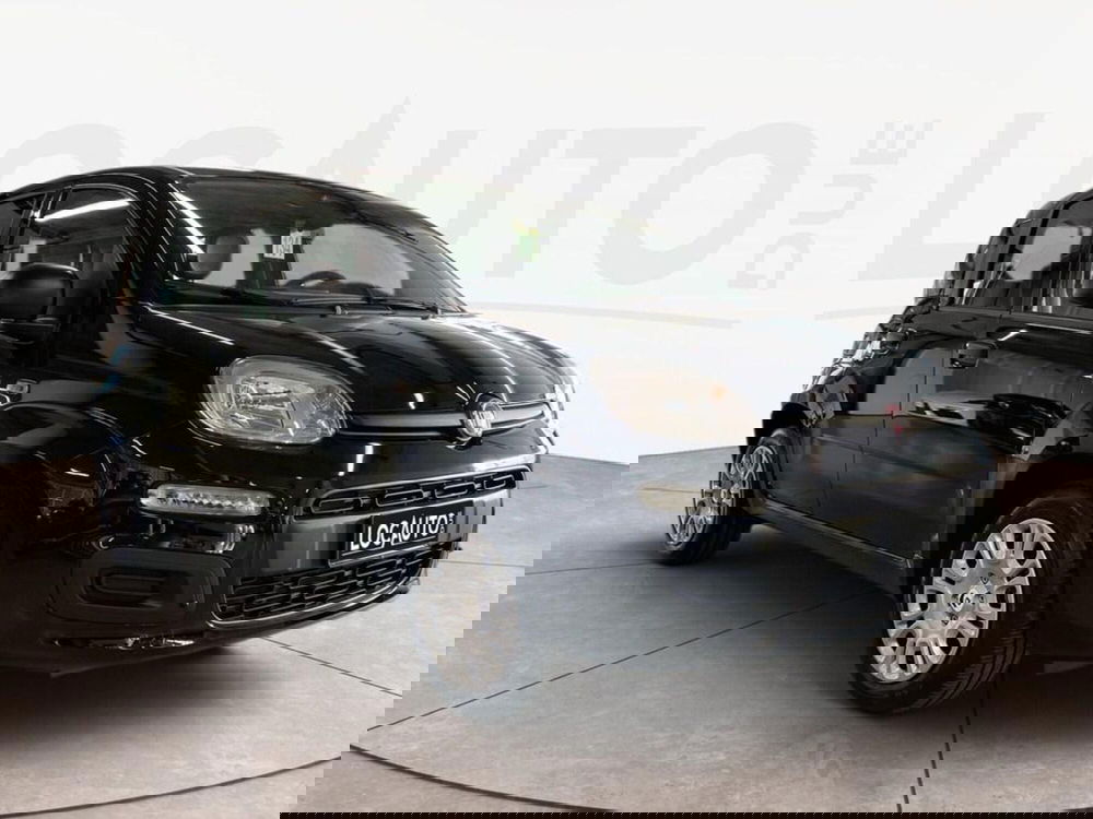 Fiat Pandina nuova a Torino (3)