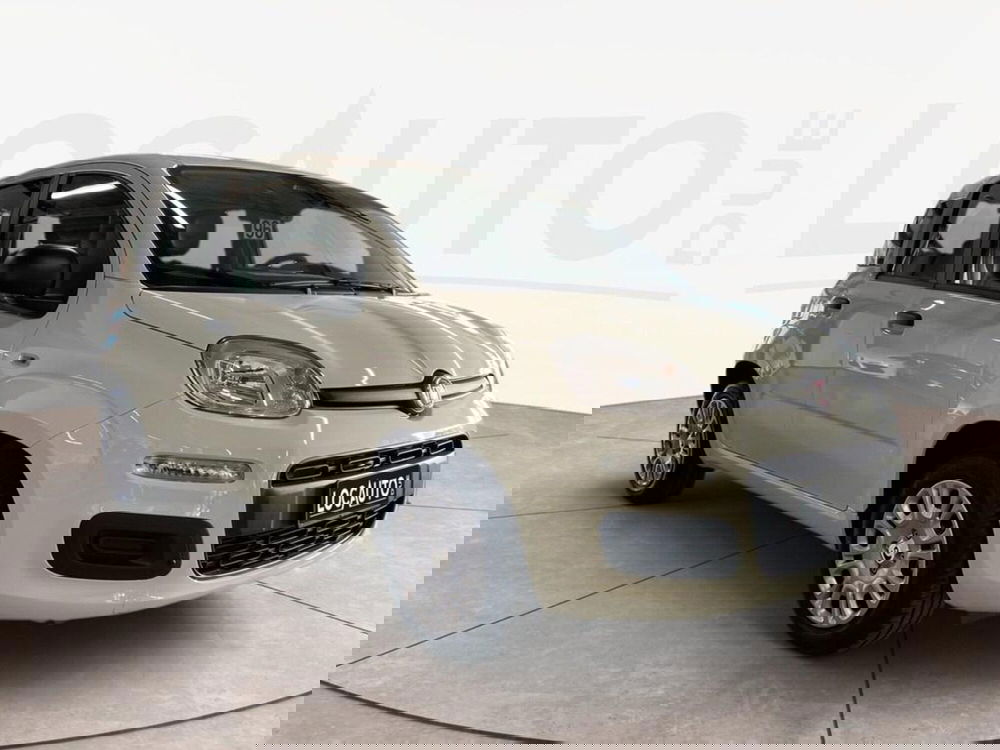 Fiat Pandina nuova a Torino (3)