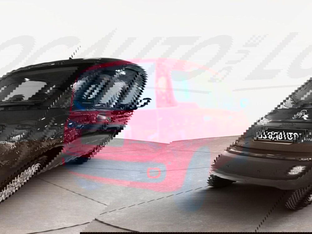 Fiat Pandina nuova a Torino (4)