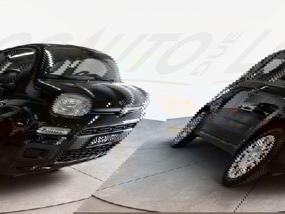 Fiat Pandina nuova a Torino (3)