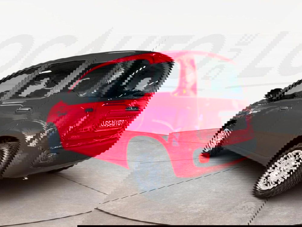 Fiat Pandina nuova a Torino (5)