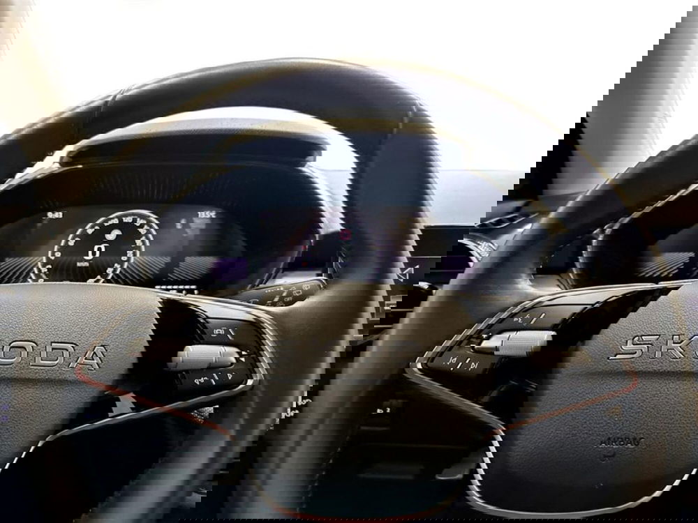 Skoda Fabia usata a Piacenza (13)