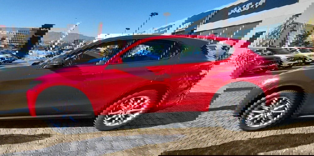 Alfa Romeo Stelvio usata a Cosenza (8)